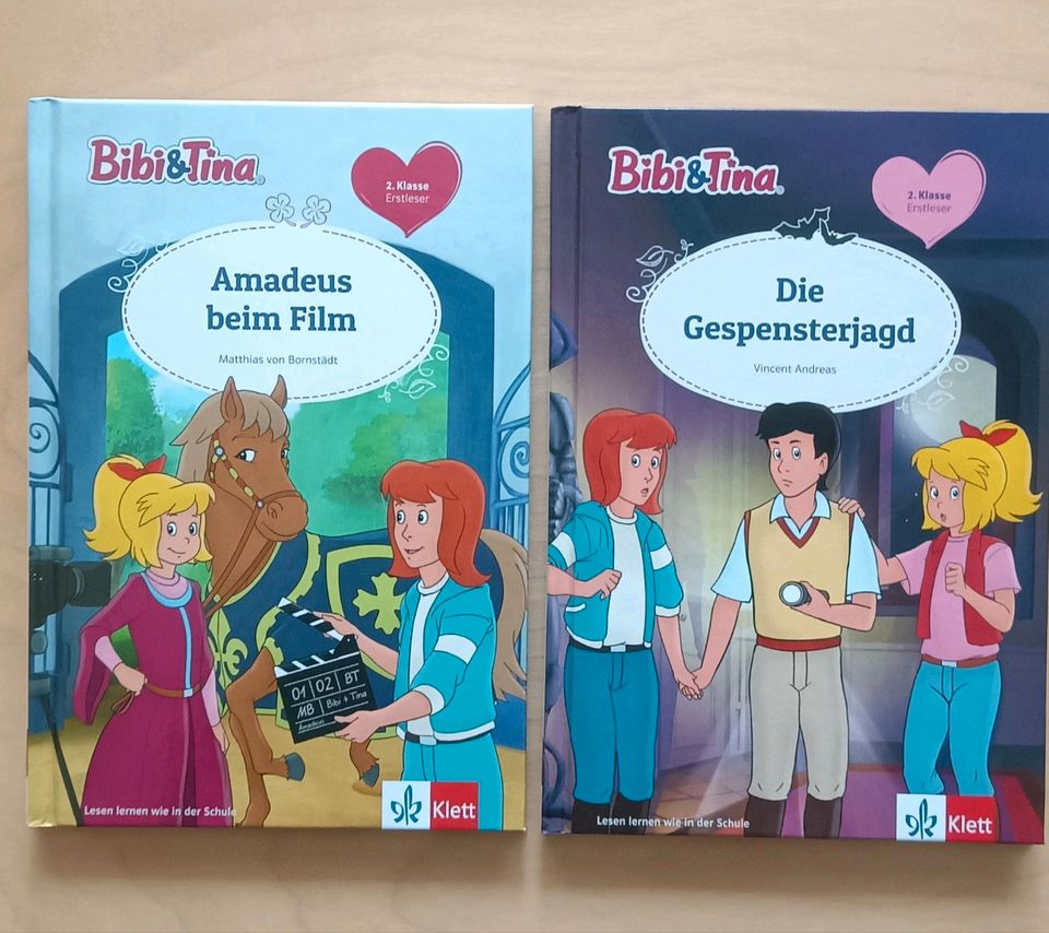 2 Bibi &Tina Erstlesebücher in Darmstadt