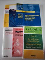 Die Leiden des jungen Werther (J. W. v. Goethe) – Bücherset Mecklenburg-Vorpommern - Klein Trebbow Vorschau