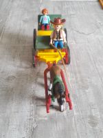 Playmobil Country Pferdekutsche Bayern - Aichach Vorschau