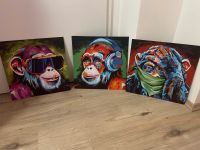 Bilder 3 Affen Ölfarben 40x40 Nordrhein-Westfalen - Kleve Vorschau