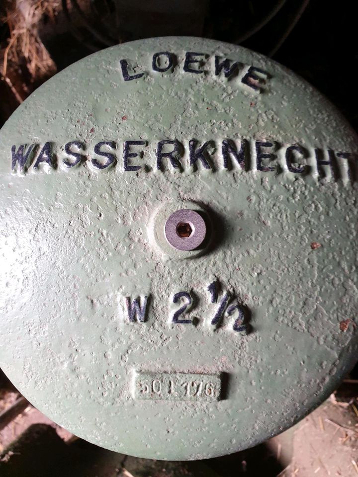 Kolbenpumpe Löwe Wasserknecht W 2 1/2 in Worbis