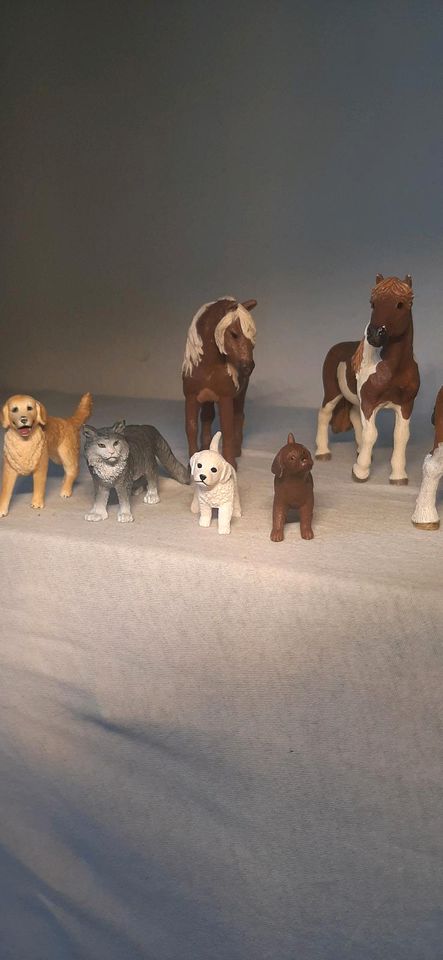 Schleich Pferde + Fohlen + Hunde und Katzen in Neubrandenburg