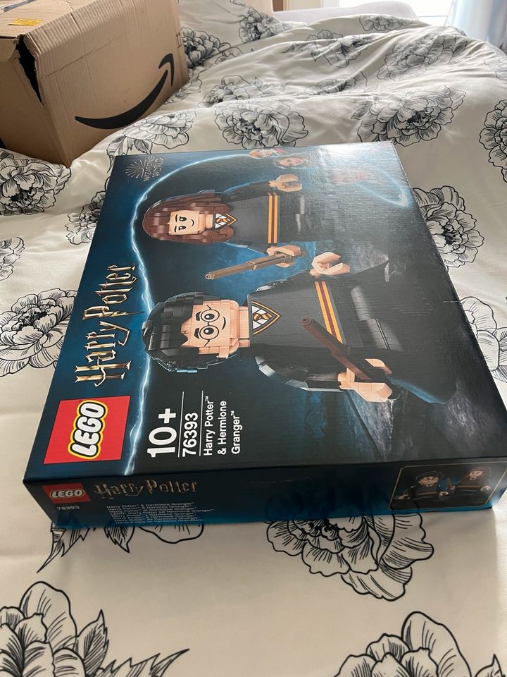 Lego 76393 Harry Potter und Hermione Granger in Warburg