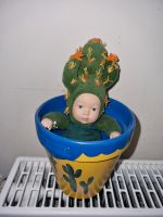 Anne Geddes Baby Kaktus im Blumentopf Bayern - Scheuring Vorschau