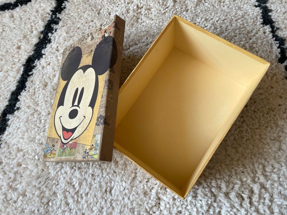 Mickey Mouse Box Aufbewahrung in Burglauer