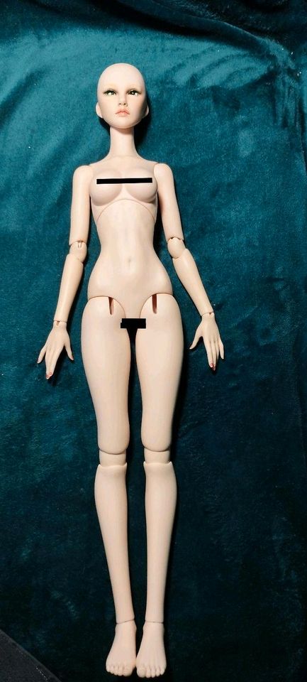 SoulDoll Zenith Stella BJD 1/3 63 cm Ball Jointed Doll Set in Essen Freisenbruch