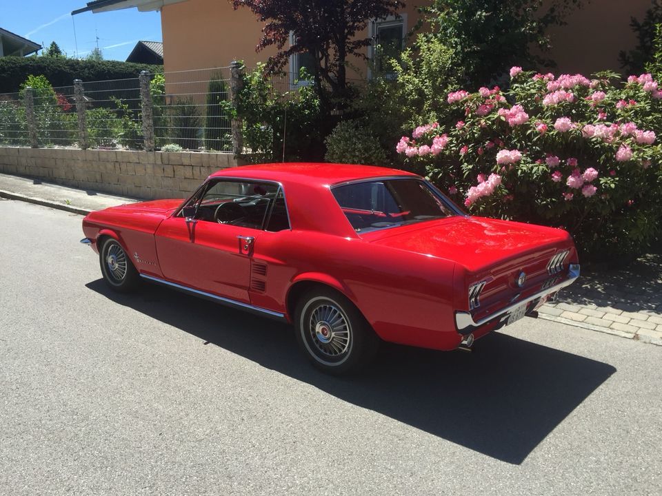 Ford Mustang in Teisendorf