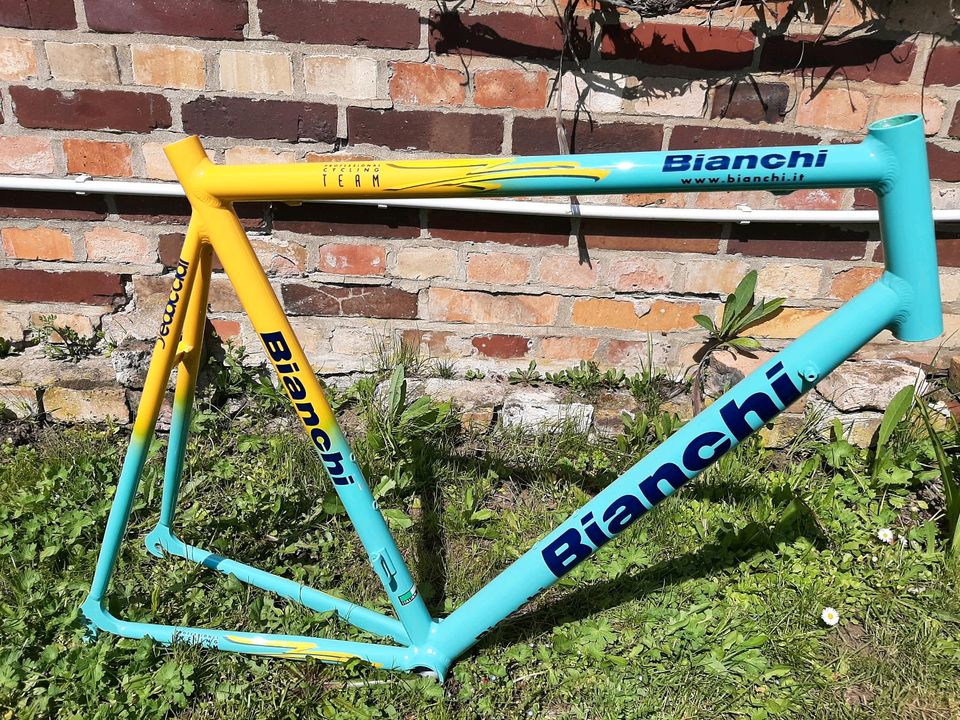 Bianchi Mega Pro Rahmen Gr. XL/59 1Zoll Pantani in Wettin-Löbejün