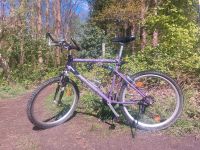 Mountainbike Shimano Deore LX Schaltung, 26 Zoll Kreis Pinneberg - Wedel Vorschau