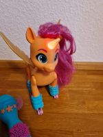 My little Pony Skaterspaß, Hasbro Einhorn  interaktives Pony Rheinland-Pfalz - Faid Vorschau