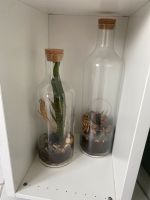 Deko Flaschen Glas Rheinland-Pfalz - Ramstein-Miesenbach Vorschau