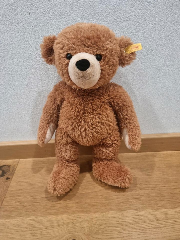 Teddybär Steiff "Happy" in Dresden