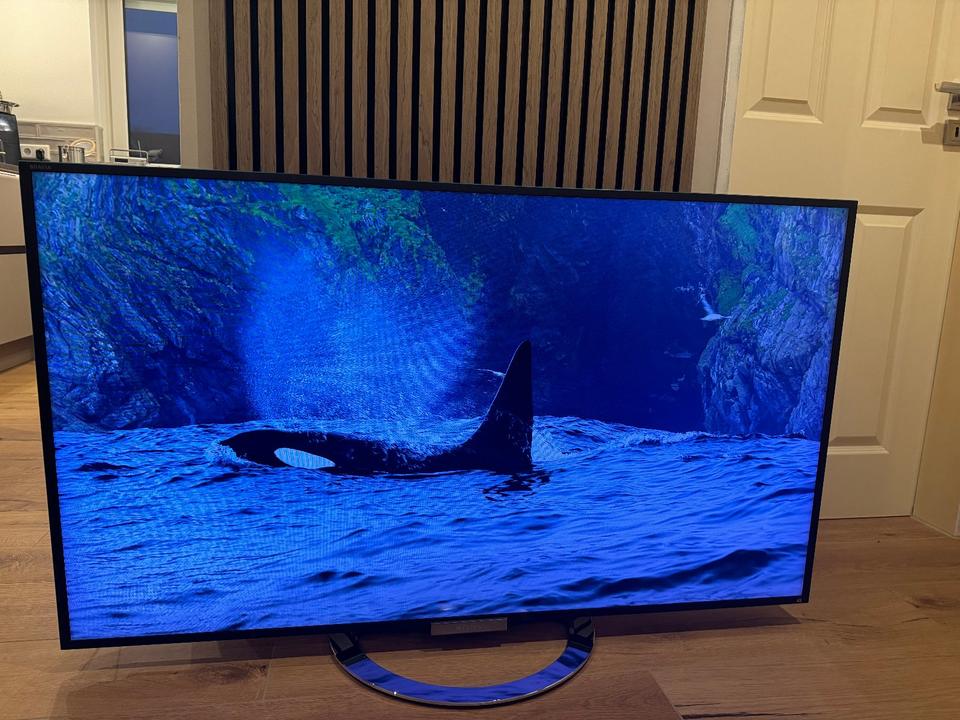 Sony Bravia W905 Full HD, 3D, 55 Zoll TV inkl. Fire TV Stick 4k in Emden