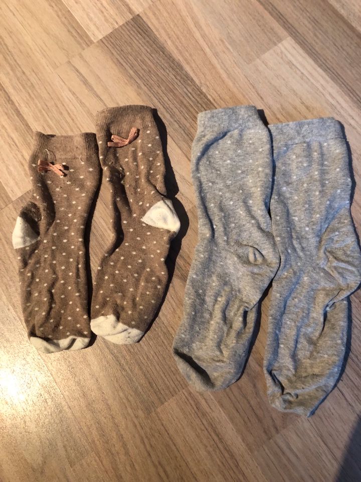 Damen Socken mit Punkten Gr.39-42 Grau und hellbraun in Sachsenhagen