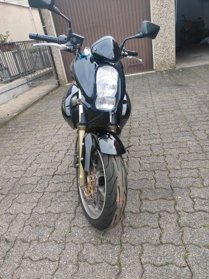 Kawasaki ER6n in Detmold