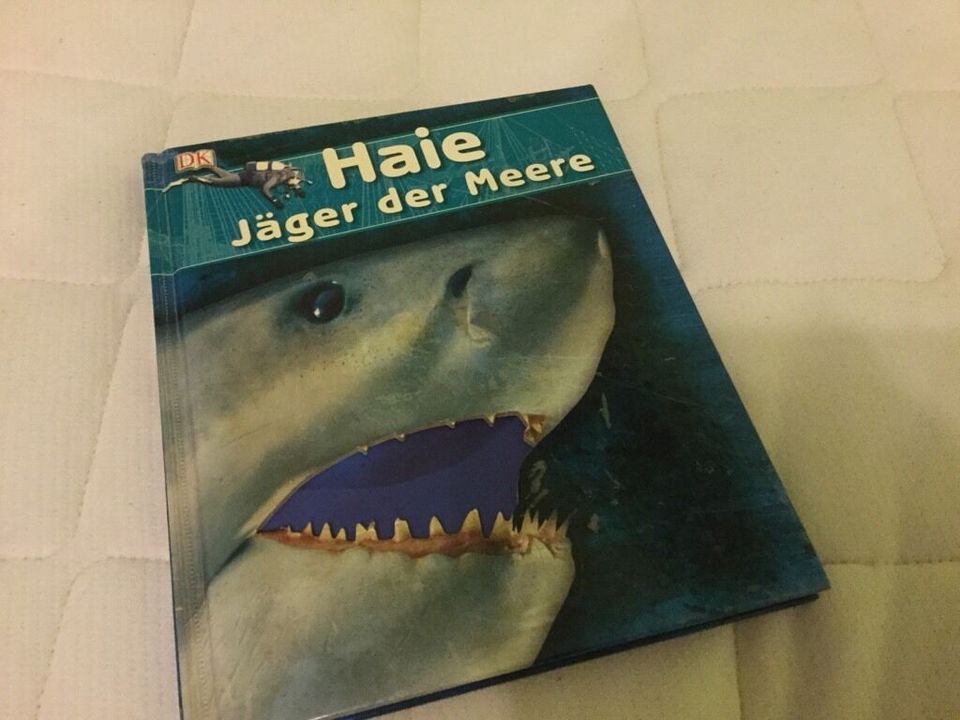 Haie Jäger der Meere   neu in Niederzier