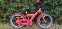 ❤️ Kinder Fahrrad 18 Zoll Pegasus orange + Leuchtweste Nordrhein-Westfalen - Neuss Vorschau