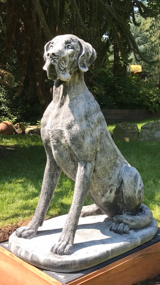 Dogge 106cm 200kg Steinguss deutsche Dogue dänische Dogo Hatzrüde in Schönefeld