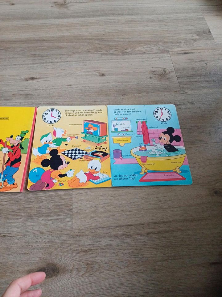 2 Kinderbücher von Walt Disney in Saarbrücken