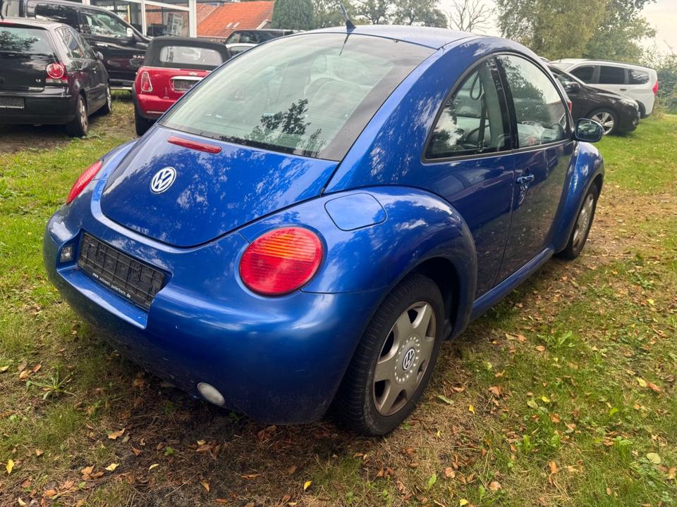 Volkswagen NEW BEETLE 1.4 16V*KLIMA*SHZ*NSW*LM*GJR*HU10/24* in Friedeburg
