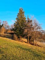 Grundstück Südlage mit Hütte und Feuerstelle Baden-Württemberg - Römerstein Vorschau