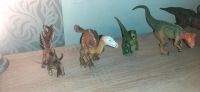 Schleich Dinosaurier Figuren Sachsen - Weißwasser Vorschau