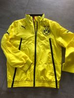 Leichte Jacke Borussia Dortmund Größe 140 Leipzig - Meusdorf Vorschau