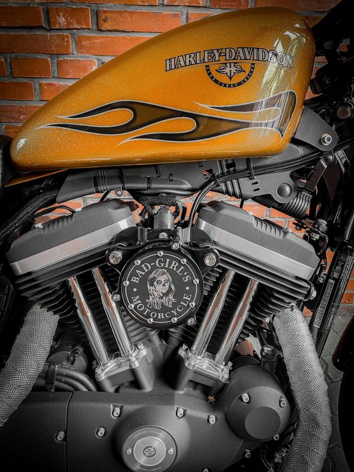 Harley Davidson Iron 2015 Gold Flakes Deutsch 13406 Km in Hamburg