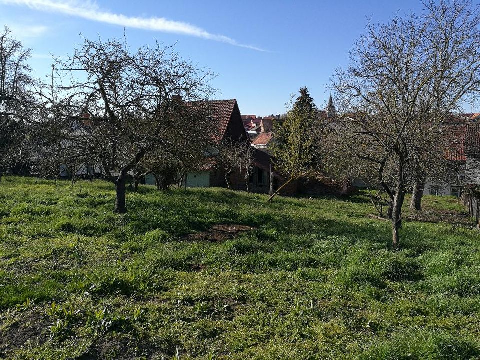 Viel Wohnraum auf kleiner Fläche. Ihr energiesparendes Town & Country Raumwunder in Bad Langensalza OT Zimmern in Bad Langensalza