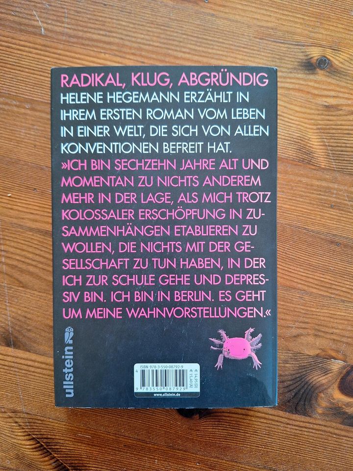 Axolotl Roadkill - Helene Hegemann in Neckarwestheim