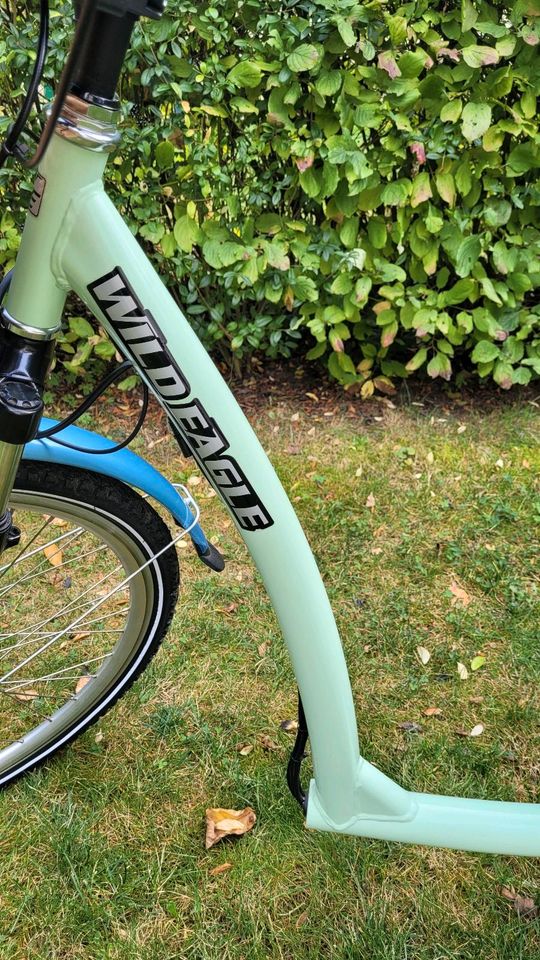 Ebike Dreirad neu in Werdau