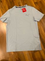 Puma Tshirt-blau Nordrhein-Westfalen - Moers Vorschau