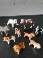 Schleich Tiere Hund, Kuh,Esel, Eisbär nicht bespielt Baden-Württemberg - Weinsberg Vorschau