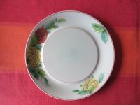 12 Speiseteller der Serie T'chou von Villeroy & Boch Rheinland-Pfalz - Rheinbreitbach Vorschau