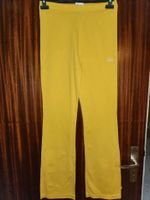 Adidas Sporthose Damenhose gr 40 Bayern - Buchdorf Vorschau