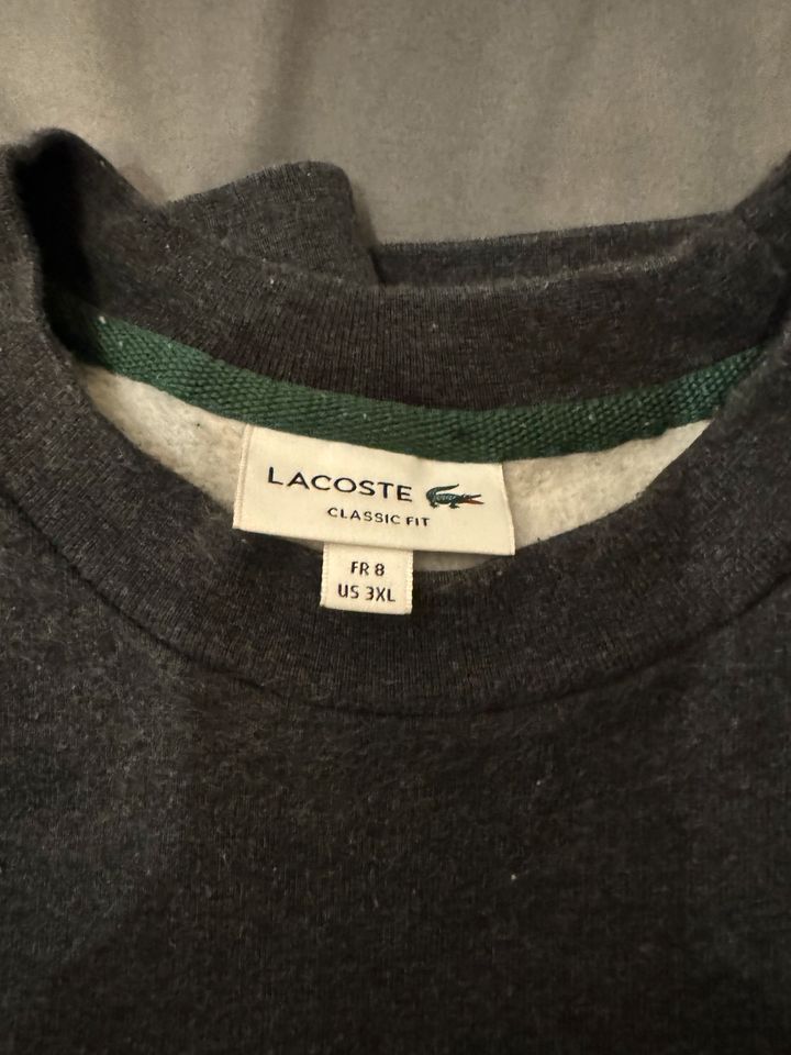 Lacoste pullover in Darmstadt