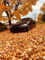 BMW 3er E90 mit Motorschaden Bayern - Runding Vorschau