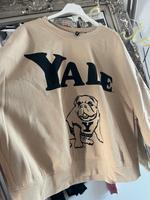 Yale Sweatshirt Pullover xl H&M Hessen - Eschborn Vorschau