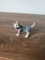 Schleich 16373 Husky Welpe spielend Hund Altona - Hamburg Rissen Vorschau