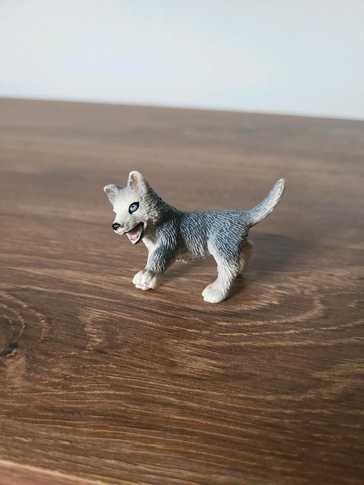 Schleich 16373 Husky Welpe spielend Hund in Hamburg