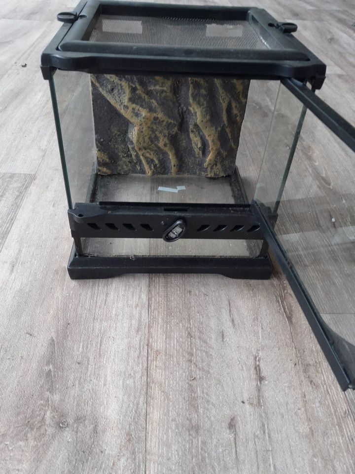 Exoterra Terrarium 20x20x20 - wie neu in Pulsnitz