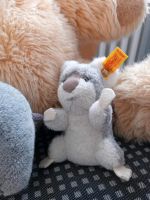 Steiff Koala " Yuku " 1446/11 Bayern - Dinkelscherben Vorschau