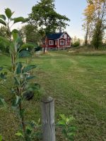 Ferienhaus in Schweden (Småland) Schleswig-Holstein - Ahrensburg Vorschau