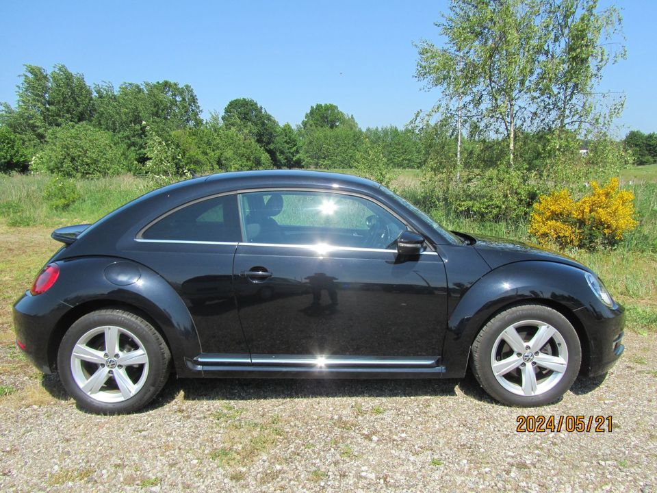 Volkswagen Beetle Lim. Sport Automatik Klima  Tempo Shz VW-S-Heft in Nortorf