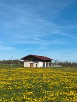 Einstellplatz Pferde Offenstall Bayern - Eggenthal Vorschau