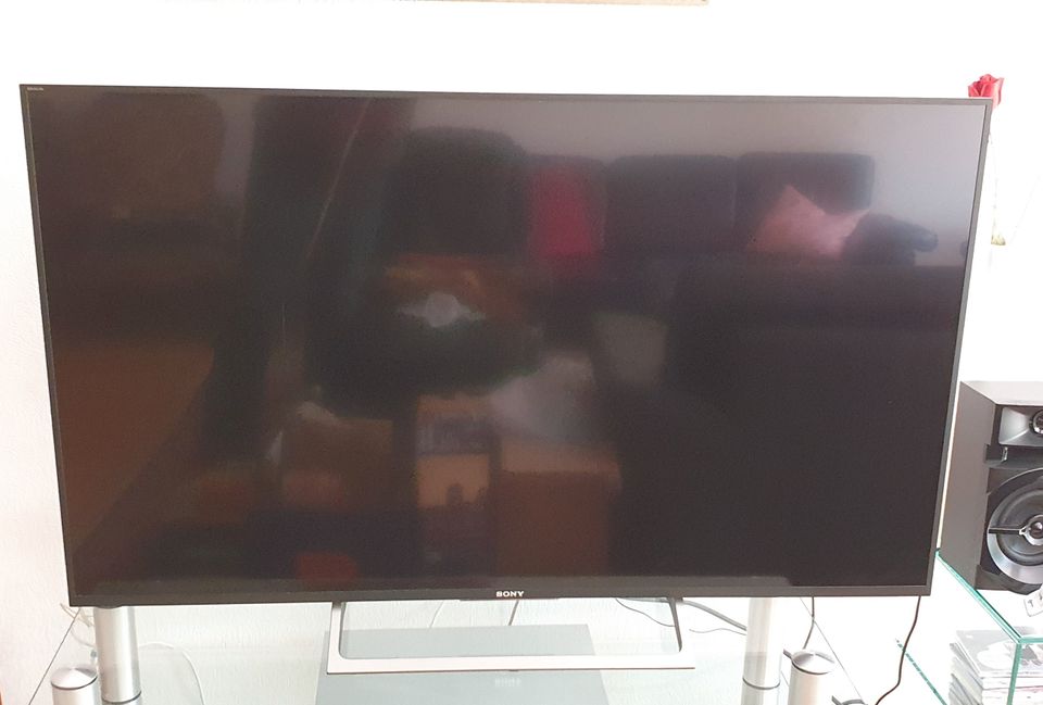 Fernseher SONY Bavaria 1390 mm Diagonale (55 Zoll) in Köln