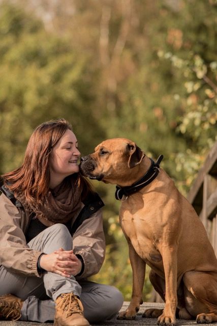 Hundetraining Hundeausbildung Coaching durch mobile Hundetrainer in Menden