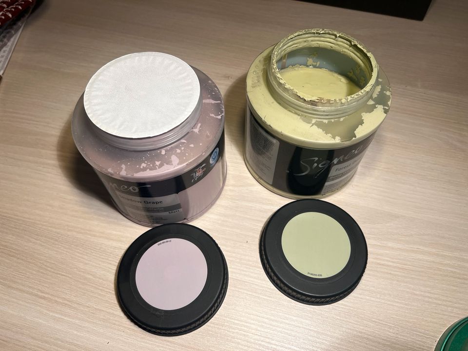 Signeo Wandfarbe grün forest dust und lila shadow grape in Lemgo