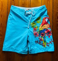 Herren Badehose • Badeshorts Hollister • Gr. M Hamburg-Nord - Hamburg Barmbek Vorschau