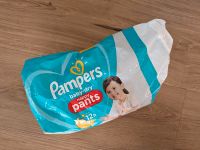 6x Pampers Baby dry Pants Gr. 7 Bayern - Zeil Vorschau